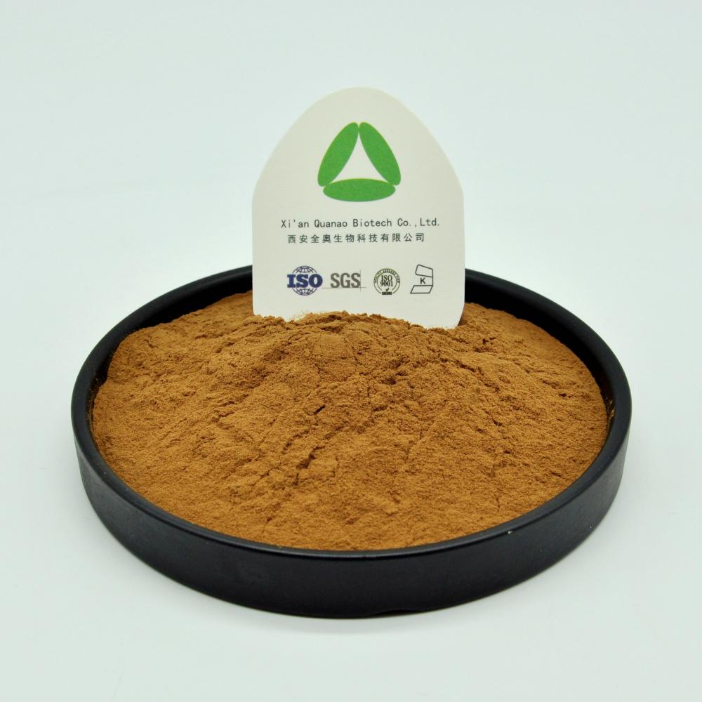 Kombucha Instant Tea Extract Powder