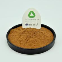 Kombucha Instant Tea Extract Powder