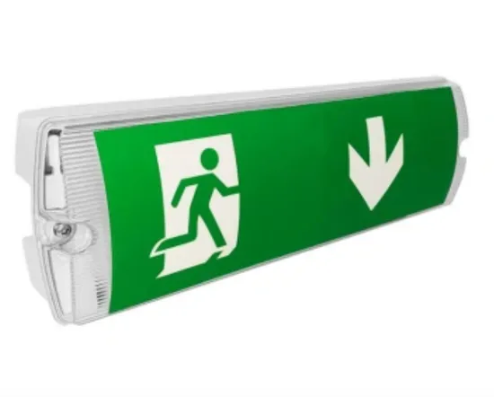 IP65 LED Emergency Bulkhead Lamp