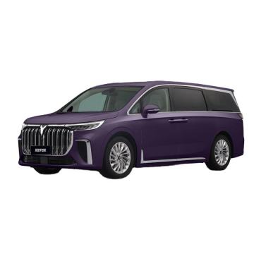 Voyah Electric Cars: Affordable 5-Door 7-Seater SUV EVs in China