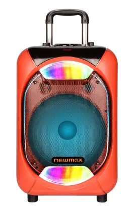 10inch  Sony Portable Party  DJ Speaker