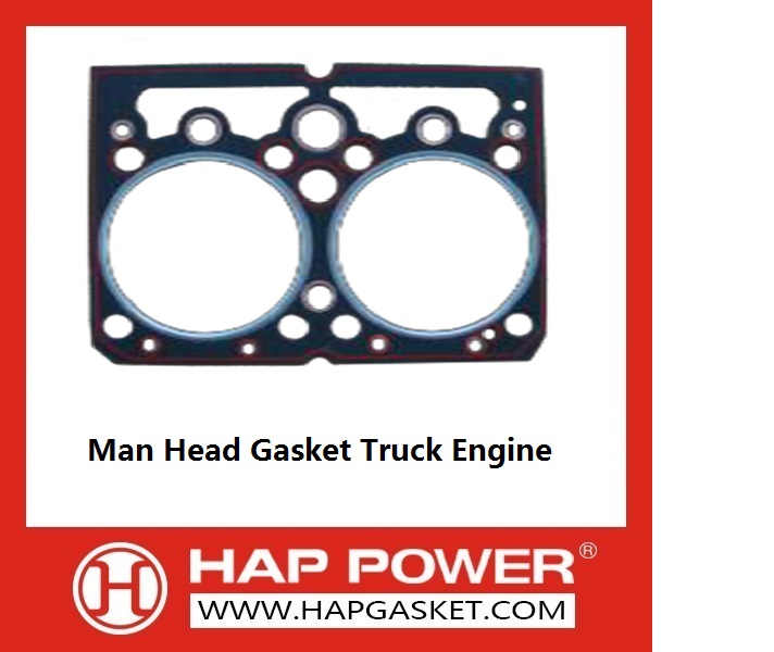 Man Heavy Truck Engine Parts 