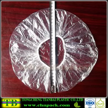 Custom Disposable PE Plastic Hair Spa Cap