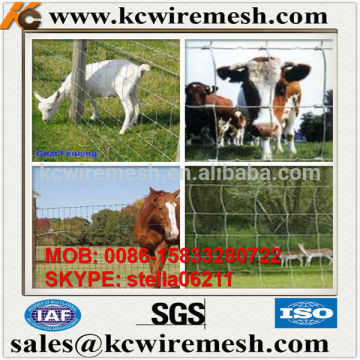Factory!!!!! Here!!!! KangChen Galvanized cheap farm fencing price / farm field fence