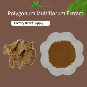 Extrato de planta ele Shou Wu Extract Powder