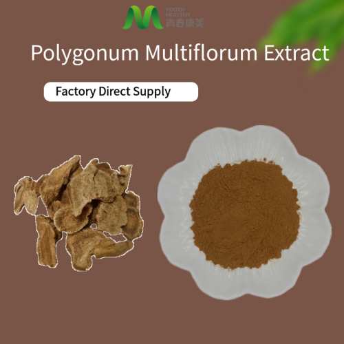 Extracto de hierbas Polygonum Multiflorum Extracto para cabello