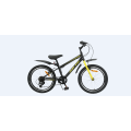 TW-64 20 Inch Boys Kids Mountain Bike