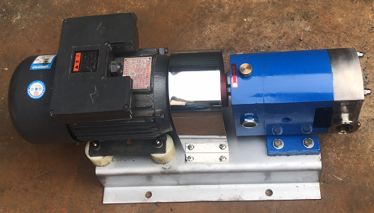 stainless steel lobe pump