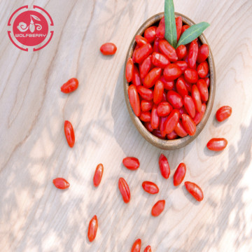 Sun dried goji berries with 18 amino acids