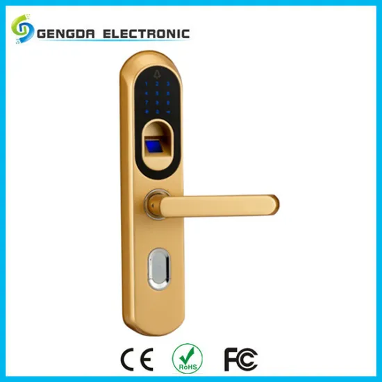SECURITY FINGERPRINT PANRL LOCK