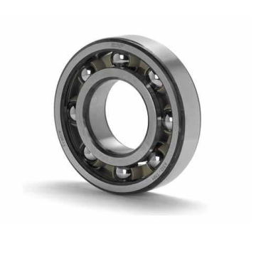 Single Row Deep Groove Ball Bearing (61844)