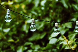 lightbulb-4379275_1920