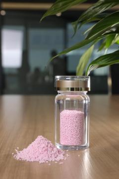 ประโยชน์ต่อสุขภาพ Bifidobacterium longum 50 พันล้าน CFU/g