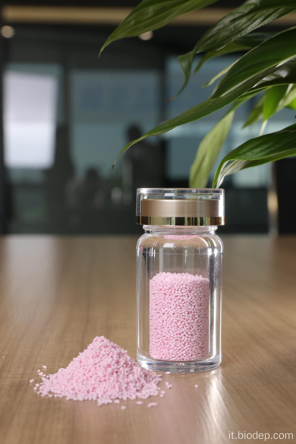 Benefici per la salute Bifidobacterium longum 50 miliardi di CFU/g
