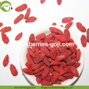 Venta al por mayor Super Food Improve Eyesight Malasia Goji Berry