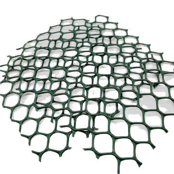 HDPE Plastic Geonet for Road Reinforcement and Soil Stabilization