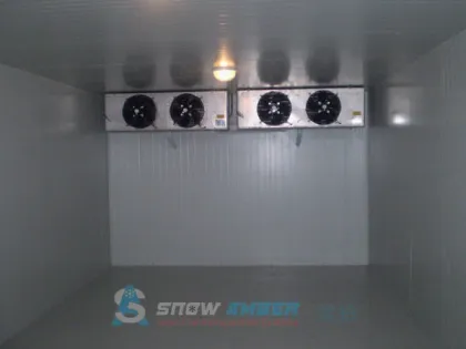 Large Capacity CE Compressor Bitzer Cold Room