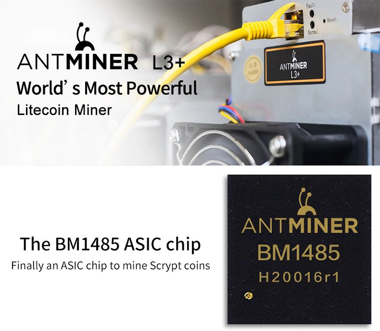 Asic Blockchain Miners Bitmain Antminer L3 +