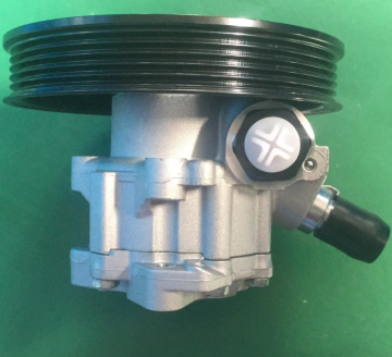 Power Steering Pump for Great Wall Fine Reputation V80 7079955222 3407110XKZ08A
