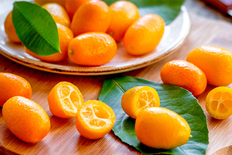 Óleo essencial de kumquat de marca própria