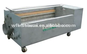 Ginger Washing Machine/Ginger Washer