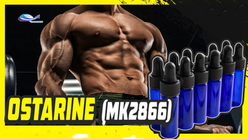 Mk 2866 dose bodybuilding
