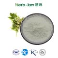 Natural Leonuri Leonurus japonicus Motherwort Extract Powder