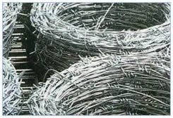 Barbed Wire