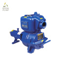 Motor kuru çalıştırma santrifüj pompası