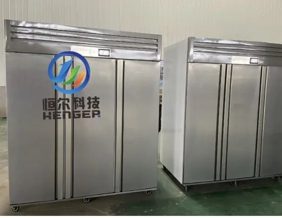 Industrial Frozen Pork Meat Thawing Machine: Defrosting Equipment