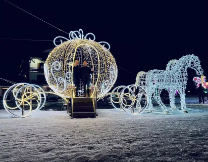 3D LED Princess Cinderella Pumpkin Carriage Motif Lights for Wedding Decoration