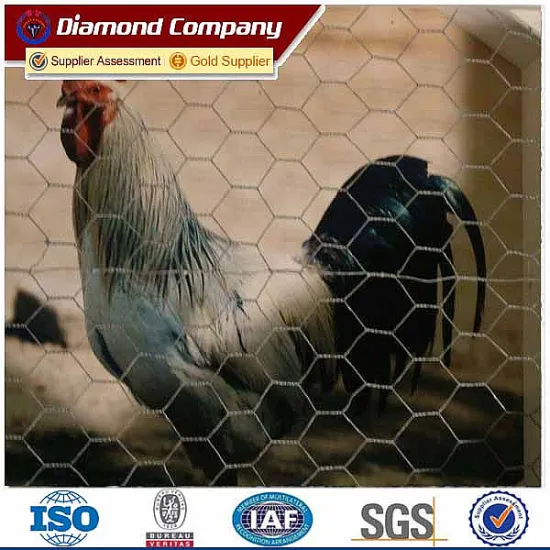 Weave Mesh Type and Hexagonal Hole Shape Hexagonal Wire Mesh for zoo bird cages
