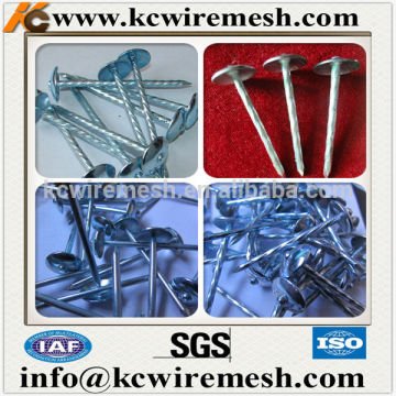 KANGCHEN galvanized umbrella head roofing nail for Ethiopian market