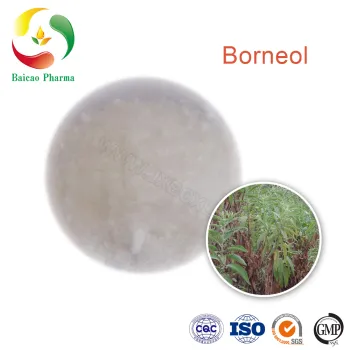 factory Wholesale Bulk Natural Pure Borneol Powder