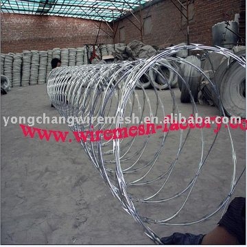 Electro galvanized raozr barbed wire
