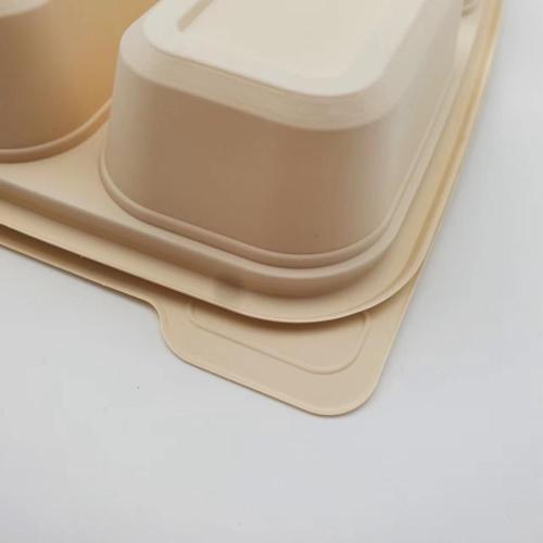 PLA pollution-free degradable food containers