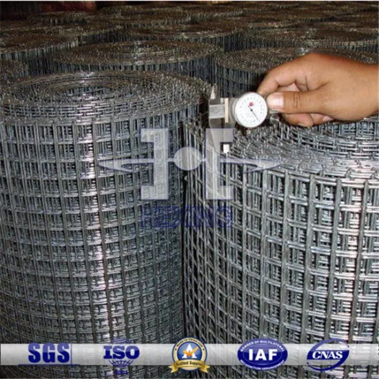 SUS Wire Welded Mesh
