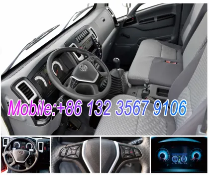 Tri-Ring Sitom 7T Electric Van Truck for sale