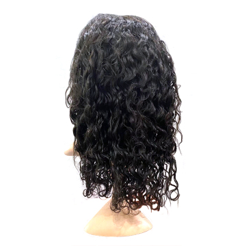High Quality Human Hair Extension Lace Front Wig - Straight Hair