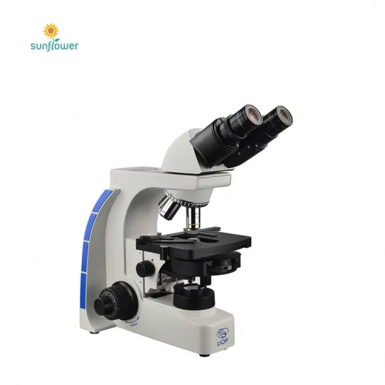 Budget-Friendly Scanning Electron Microscope (SEM) Solutions: Affordable SEM Devices and Technologies