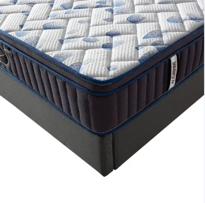 Healthy Palm Mattress: Firm Spring and Coconut Coir Mattress