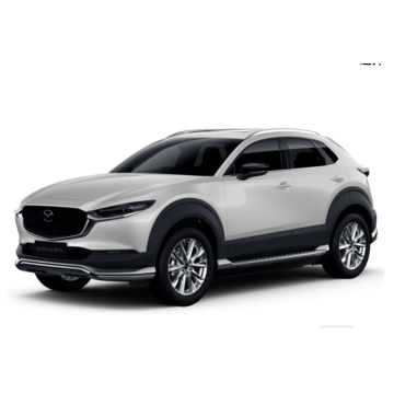 High-Speed 4-Wheel Electric Cars for Adults with Lithium Batteries - New Prices