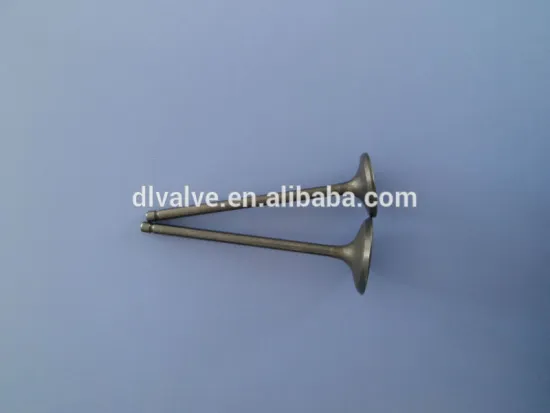 ISUZU 4JJ1 intake&exhaust valve