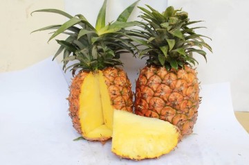 Pineapple