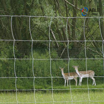 Vista de campo de malla de alambre de la unión de la articulación galvanizada