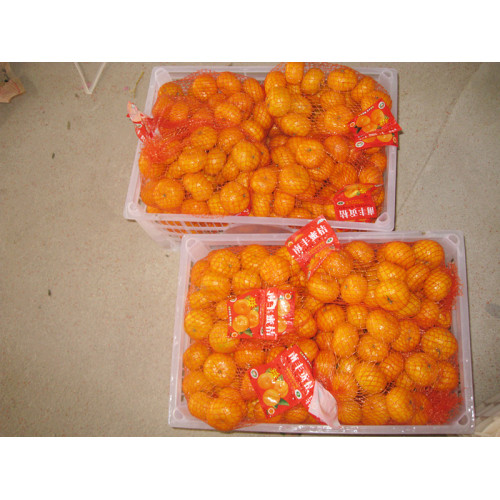 Nanfeng তাজা শিশুর ম্যান্ডারিন 35-40mm