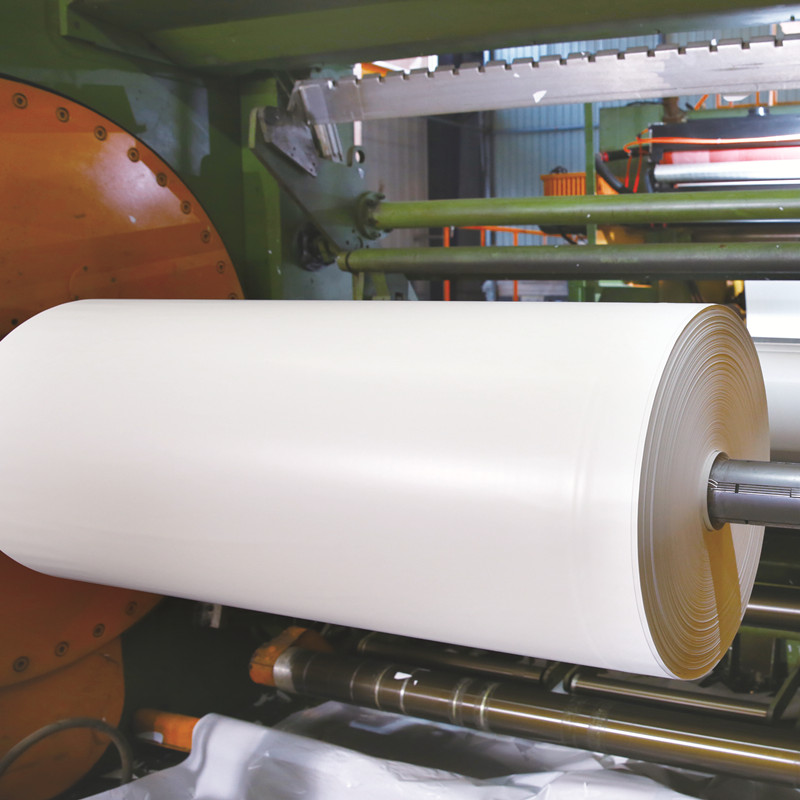 Plastic Packaging Film