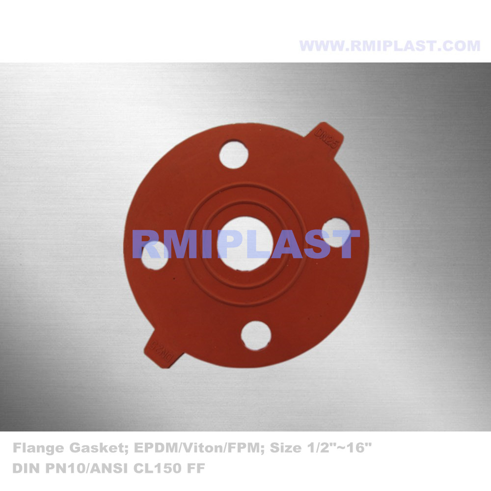 Flance Gasket Fkm DN15-DN300 DIN ANSI JIS