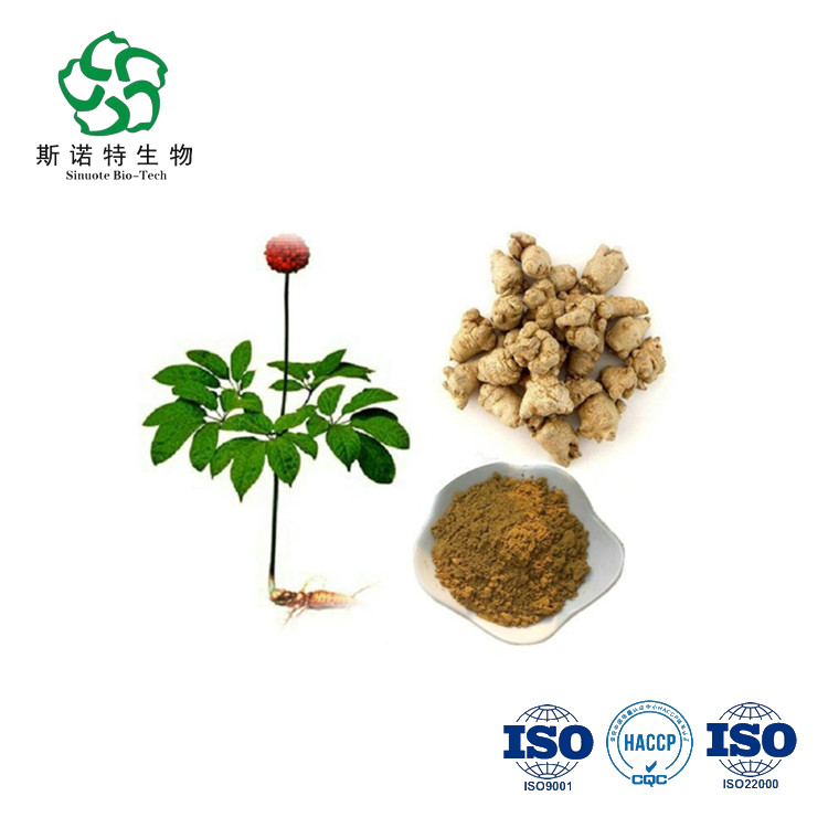 panax notoginseng root 추출물 80%notoginsenoside