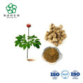 Panax Notoginseng Root Extract 80 ٪ Notoginsenoside